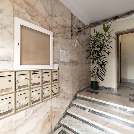 Akicity Ourique Light